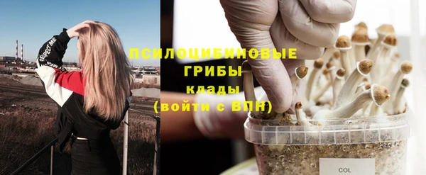 твердый Богородицк