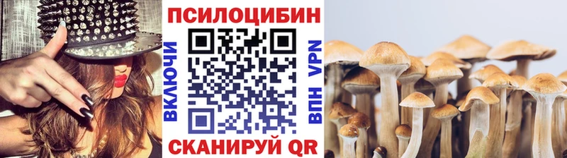 mega ссылки  Александровское  Псилоцибиновые грибы MAGIC MUSHROOMS 